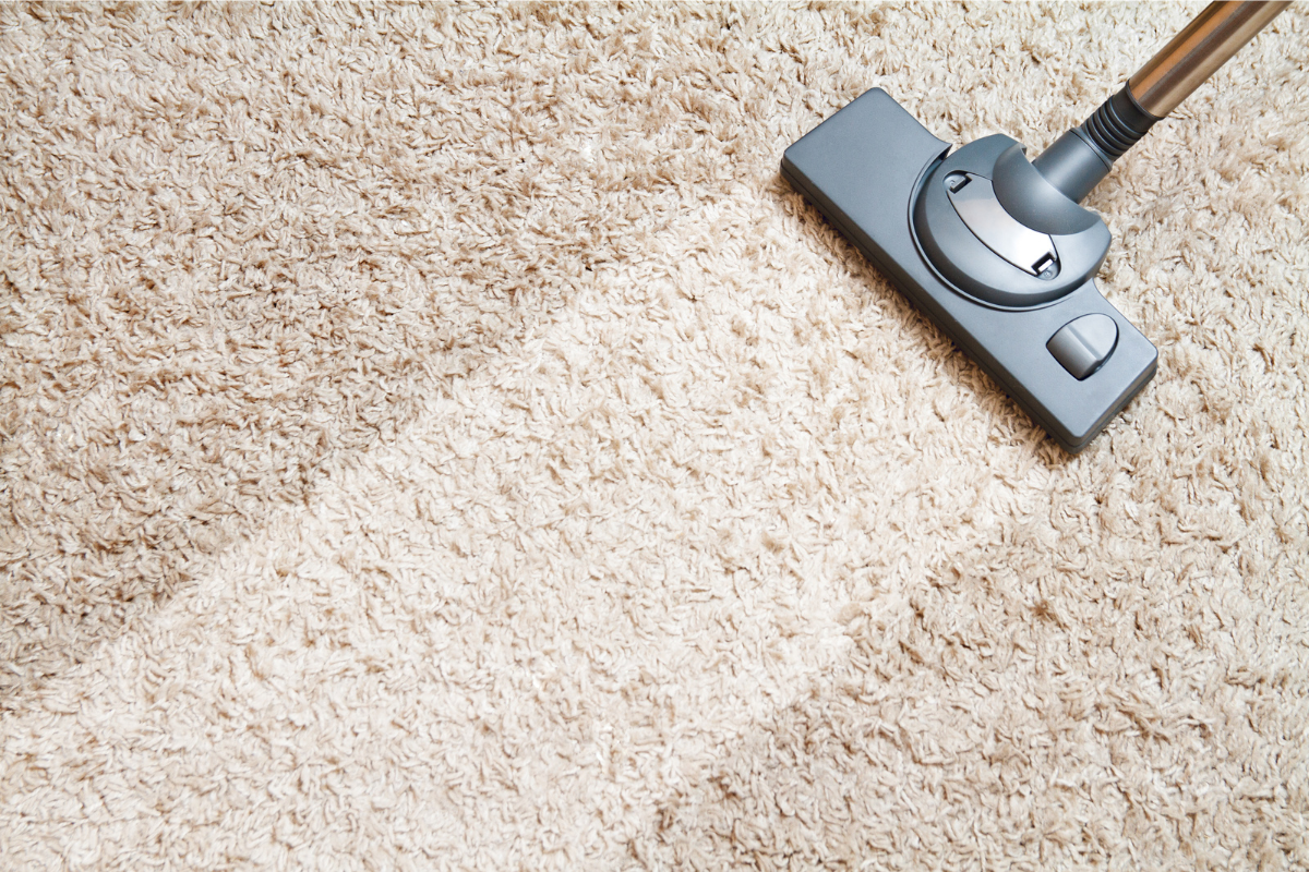 Never Late Cleaning Blog Post - How Often Should I Clean My Carpet
